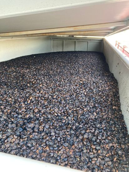 headerimage_caption_de